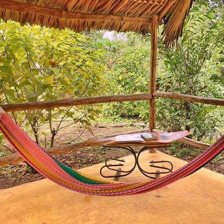 Encantadora Villa Maya Tradicional En Rancho Agroecologico Tzucaceb Extérieur photo