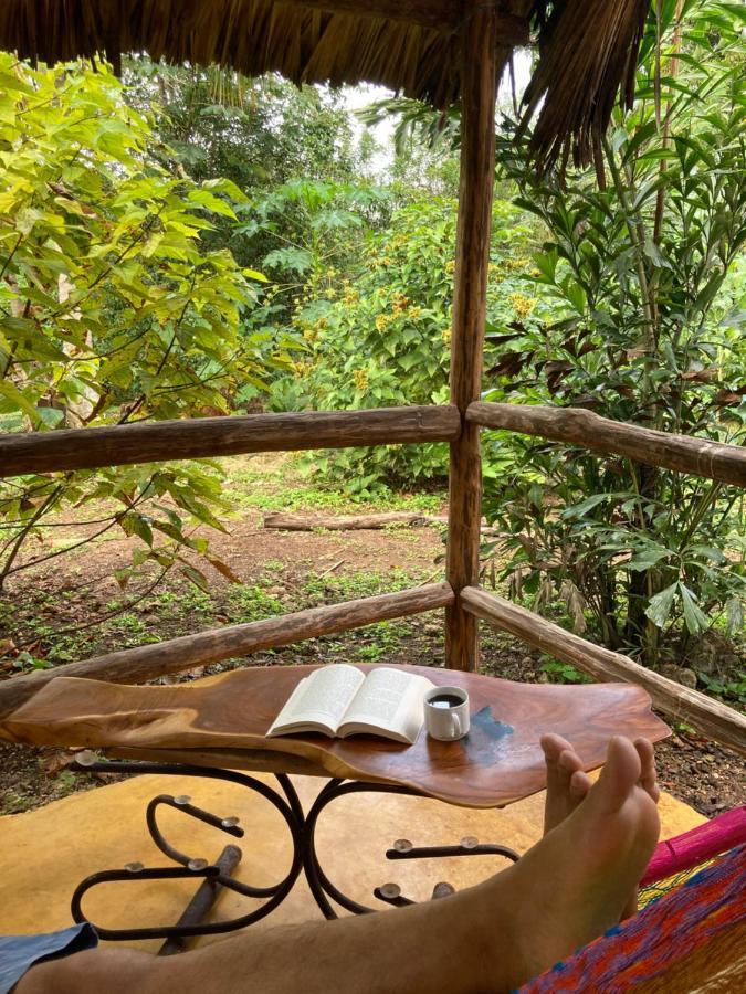 Encantadora Villa Maya Tradicional En Rancho Agroecologico Tzucaceb Extérieur photo
