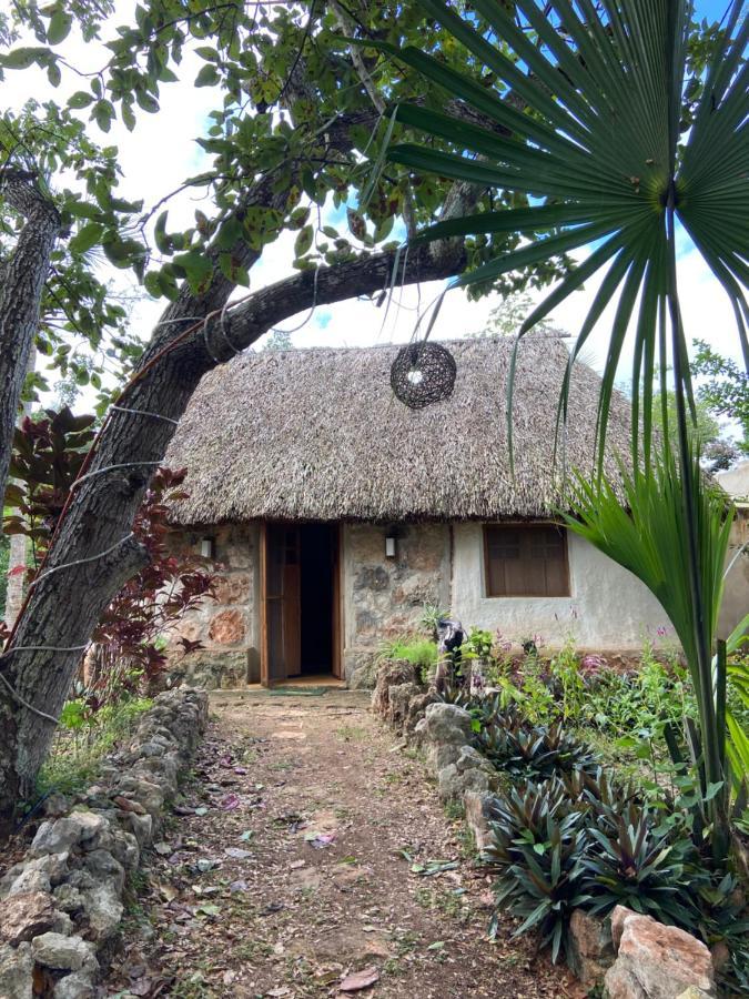 Encantadora Villa Maya Tradicional En Rancho Agroecologico Tzucaceb Extérieur photo