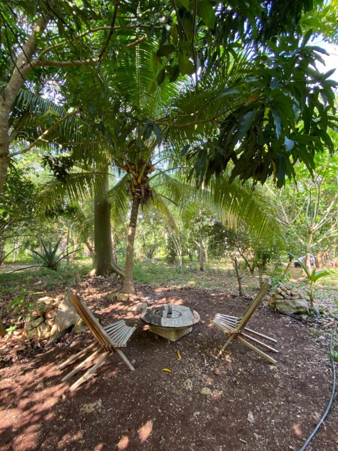 Encantadora Villa Maya Tradicional En Rancho Agroecologico Tzucaceb Extérieur photo