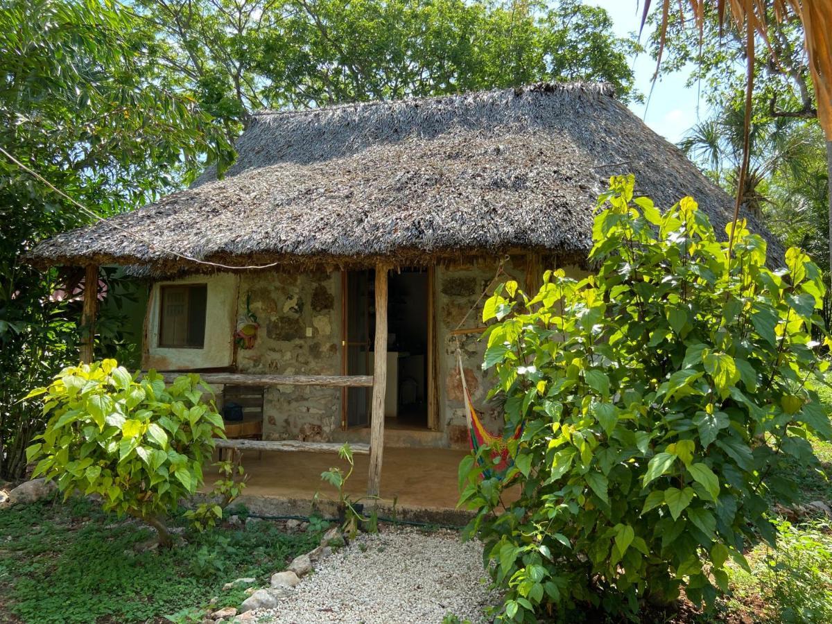 Encantadora Villa Maya Tradicional En Rancho Agroecologico Tzucaceb Extérieur photo