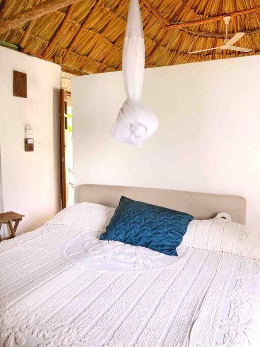 Encantadora Villa Maya Tradicional En Rancho Agroecologico Tzucaceb Extérieur photo