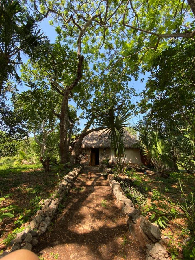 Encantadora Villa Maya Tradicional En Rancho Agroecologico Tzucaceb Extérieur photo