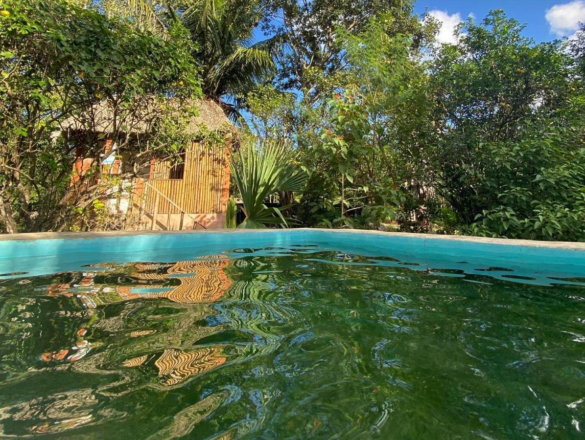 Encantadora Villa Maya Tradicional En Rancho Agroecologico Tzucaceb Extérieur photo
