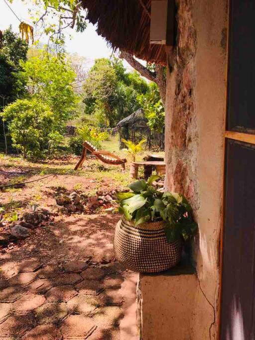 Encantadora Villa Maya Tradicional En Rancho Agroecologico Tzucaceb Extérieur photo