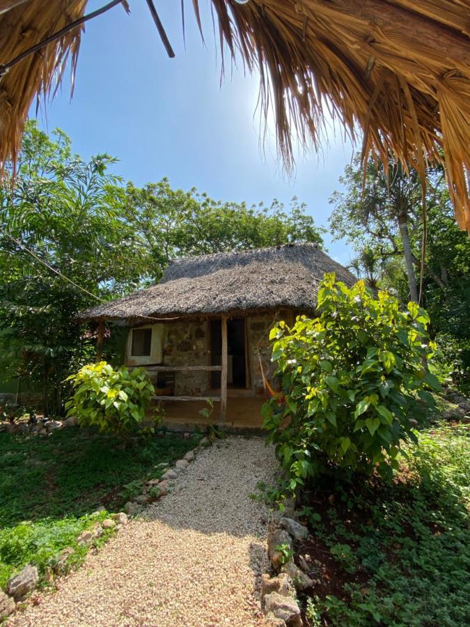 Encantadora Villa Maya Tradicional En Rancho Agroecologico Tzucaceb Extérieur photo