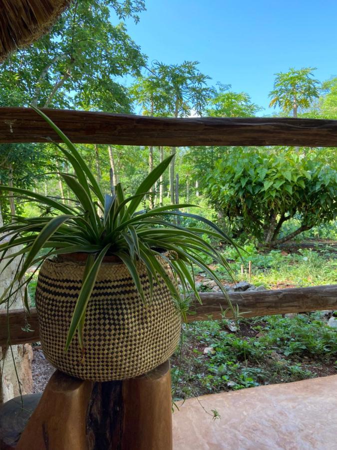 Encantadora Villa Maya Tradicional En Rancho Agroecologico Tzucaceb Extérieur photo