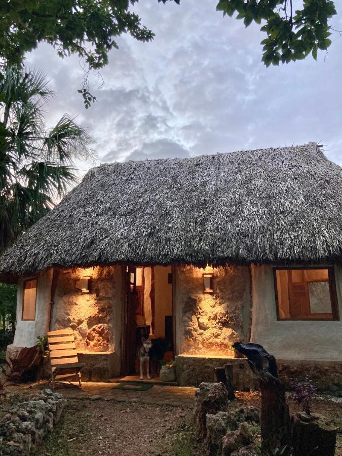 Encantadora Villa Maya Tradicional En Rancho Agroecologico Tzucaceb Extérieur photo
