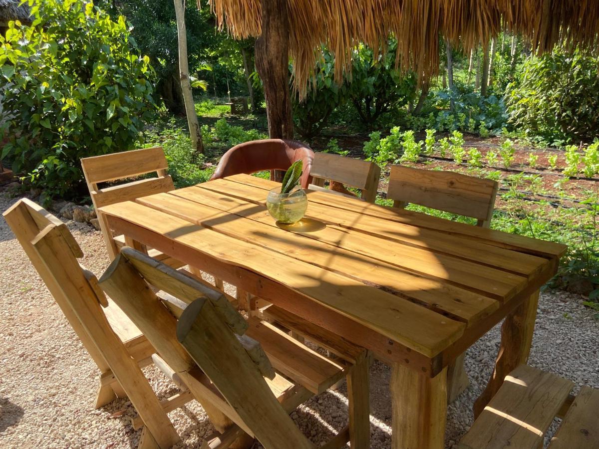 Encantadora Villa Maya Tradicional En Rancho Agroecologico Tzucaceb Extérieur photo