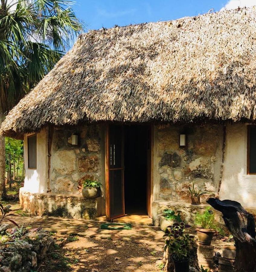 Encantadora Villa Maya Tradicional En Rancho Agroecologico Tzucaceb Extérieur photo