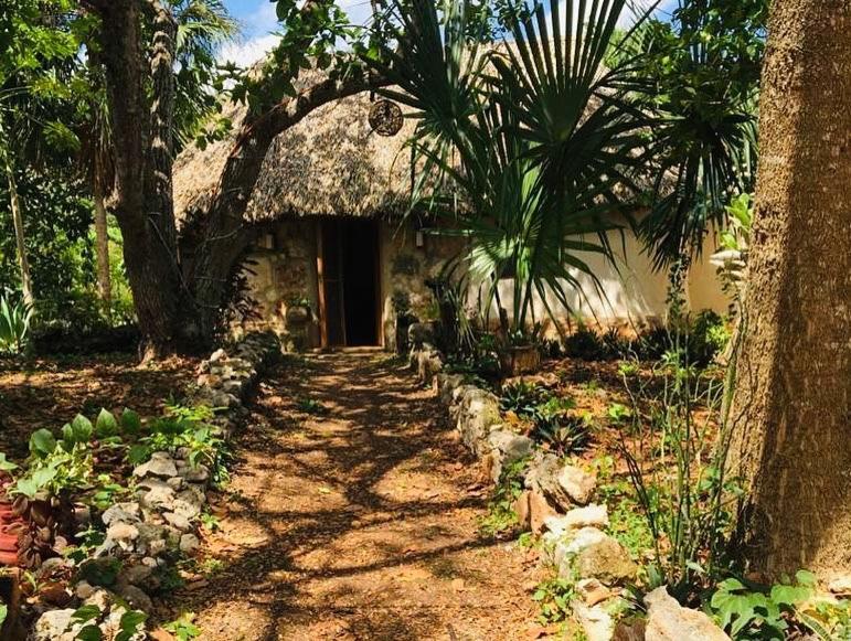 Encantadora Villa Maya Tradicional En Rancho Agroecologico Tzucaceb Extérieur photo