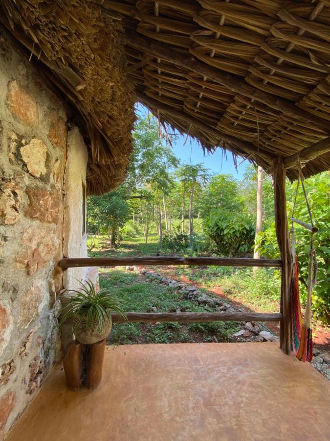 Encantadora Villa Maya Tradicional En Rancho Agroecologico Tzucaceb Extérieur photo